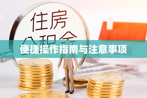 陈仓便捷操作指南与注意事项